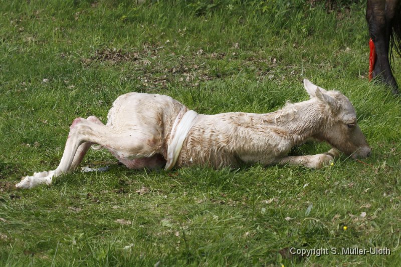 Hjoerdis 14 Min alt (5).JPG